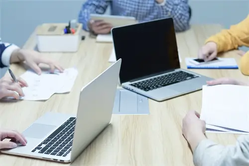 向向什么含义是什么